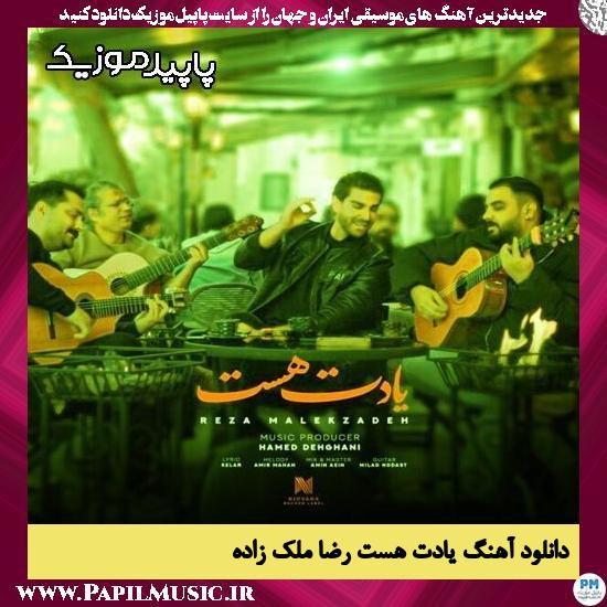 دانلود آهنگ یادت هست از رضا ملک زاده